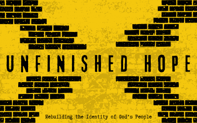 Unfinished Hope: The Joy of the World – 12.11.22