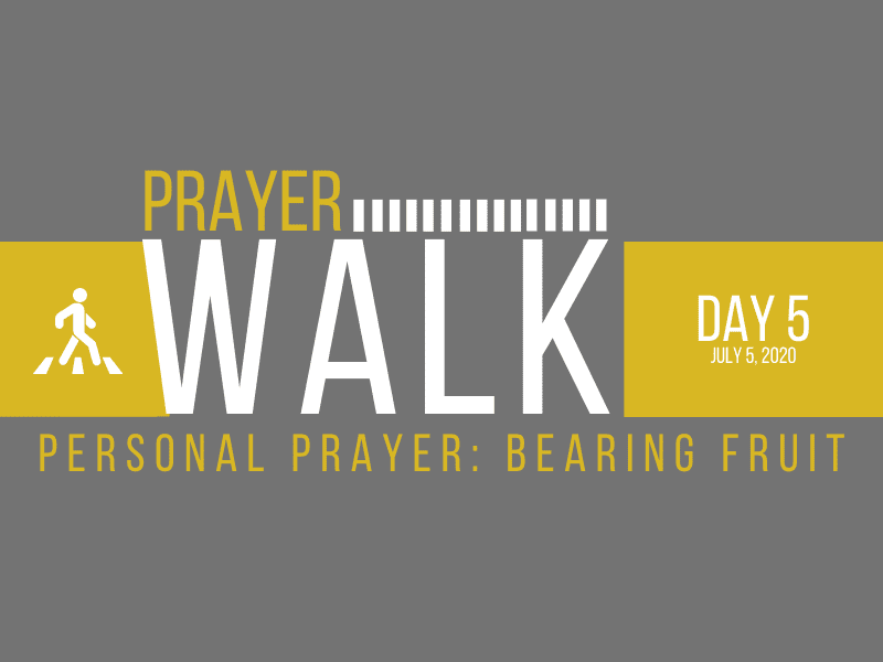 PRAYER WALK – DAY 5