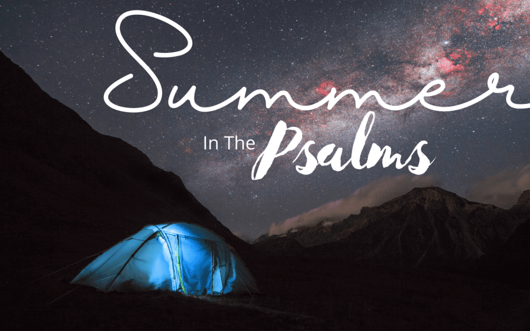 Summer in the Psalms: August 8, Psalm 15-16