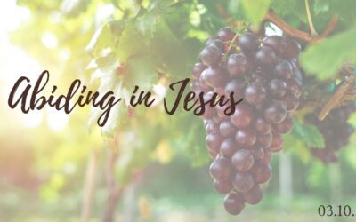 Abiding in Jesus – 03.10.24